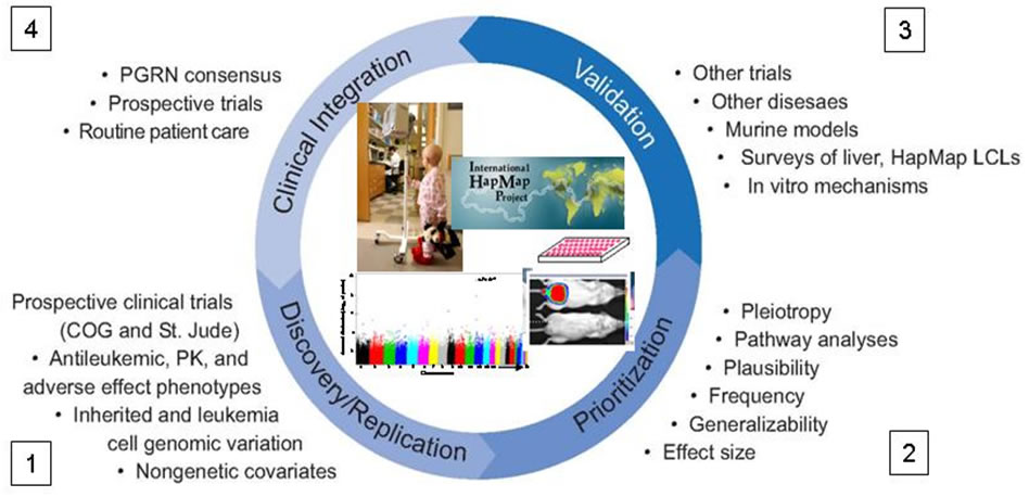 research_diagram